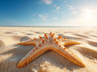 A starfish resting on soft golden sand with visible wavy textures, illuminated by bright sunlight,...