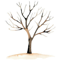 Obraz premium watercolor illustration of a cute little A tree without leaves.