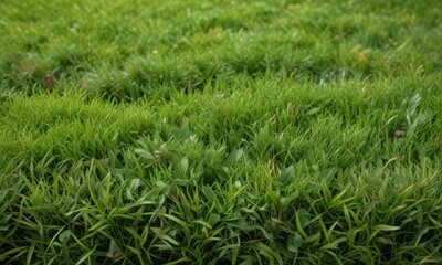 Obraz premium Close-up view of isolated square of fake grass , design, synthetic, green texture