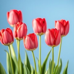 Obraz premium A row of red tulips are standing tall in a field