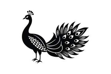 peacock isolated on white