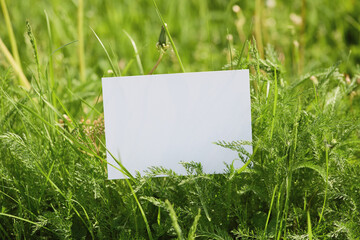 Blank white card in grassy field