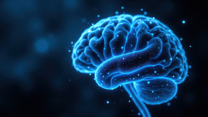 Obraz premium A detailed digital rendering of a human brain with highlighted Vagus Nerve Stimulation (VNS).