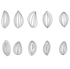 set of leaf icons, hand drawn icons in outline style