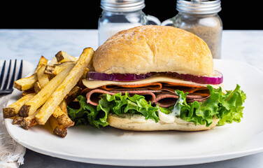  salami  , pepperoni sandwich  with fries