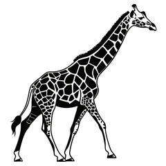 Naklejka premium Giraffe vector silhouette black design white background