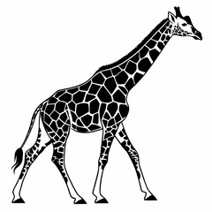 Giraffe vector silhouette black design white background
