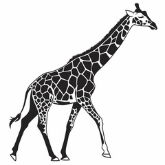 Naklejka premium Giraffe vector silhouette black design white background