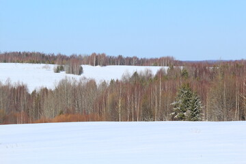 forests of northeastern Europe in early spring