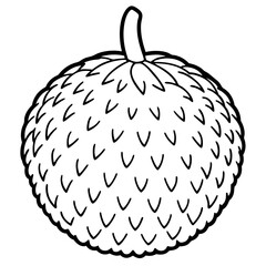 Lychee line art vector