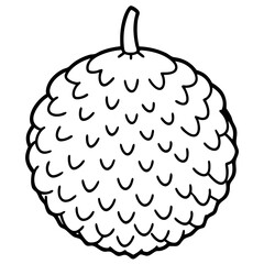 Lychee line art vector
