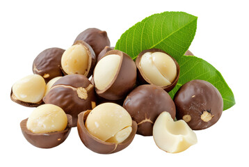 Macadamia nuts isolated on white background png transparent clipart.