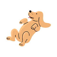 Cute spaniel dog is playing on the floor. A pet is a friend. Little cheerful puppy. Animal character. Cartoon vector illustration isolated on white background