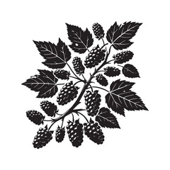 Mulberry Silhouette Vector Illustration, Solid White Background.