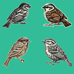 Flying Different types of bird collections on white background