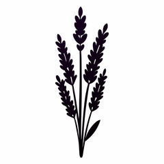 Lavender Lush line art art vector