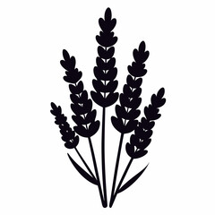 Lavender Lush line art art vector