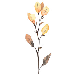 Soft Pastel Illustration of a Mustard Seedling with Delicate Leaves and Subtle Color Gradients