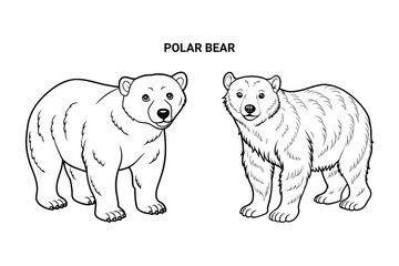 Editable Polar bear Isolated Outline Vector Illustration