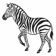 Zebra vector silhouette black design white background