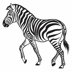 Zebra vector silhouette black design white background
