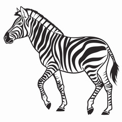 Zebra vector silhouette black design white background