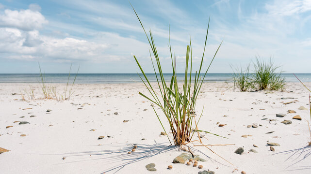 Strand an der Ostsee
