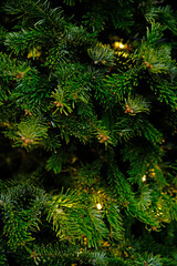 Christmas tree decoration festive background, wall Christmas tree, branches and lamps. copy space New Year celebration