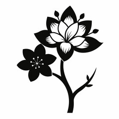 black and white flower