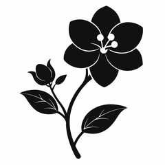 black and white flower