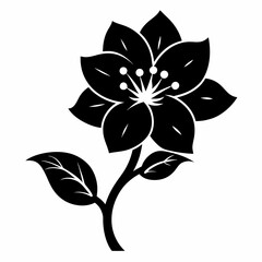 black and white flower