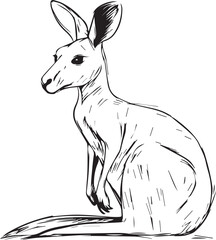 Kangaroo outline line icon black isolated 