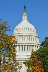 US Capitol Building in autumn - Washington DC United States