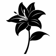 Lily Serenity black silhouette vector