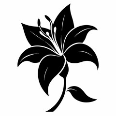 Lily Serenity black silhouette vector