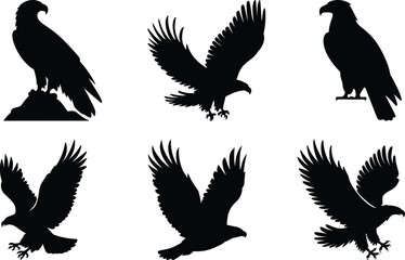 Obraz premium Solid Black Silhouette of Eagle, Minimalist Vector Illustration Isolated on White Background