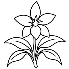 Orchid Oasis line art art vector