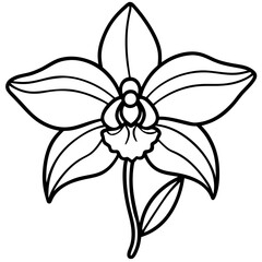 Orchid Oasis line art art vector