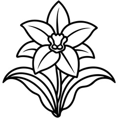 Orchid Oasis line art art vector