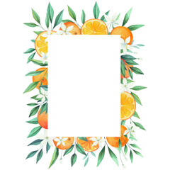 watercolor frame with flowers and leaves isolated on transparent background png