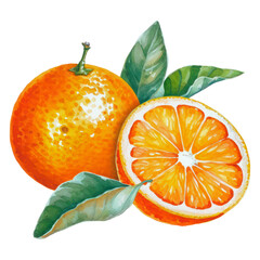 Abstract watercolor orange fruit with leaves and slices isolated on transparent PNG
 