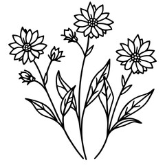 Wildflower Vines line art art vector