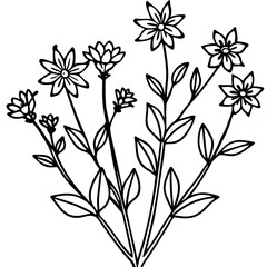 Wildflower Vines line art art vector