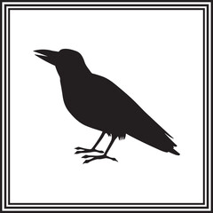 Flat vector illustration of a Crow .