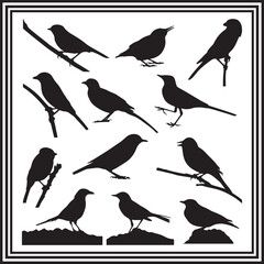 A big collection of magpie bird silhouette set, magpie silhouette logo isolated on white background.