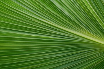 A Detailed Exploration of a Vibrant Palm Leaf's Intricate Veins and Texture; A Close-up View of Nature's Artistic Design