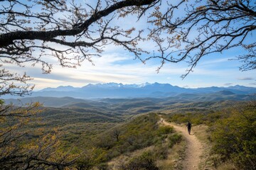 Obraz premium Hiking in Patagonia, Chilean neutral colors and autumn foliage, winding trails through dense cypress forests with distant snow-capped Andes mountains in the background.