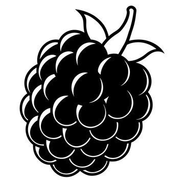 black blackberry fruit outline clip art preview