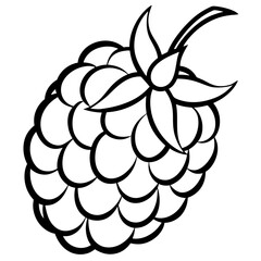 Blackberry line art art vector