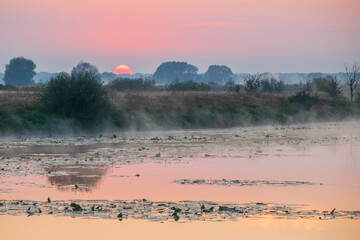 sunrise over the river